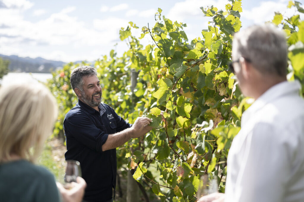 couple is having vineyard tour in Bangor Vineyard Shed