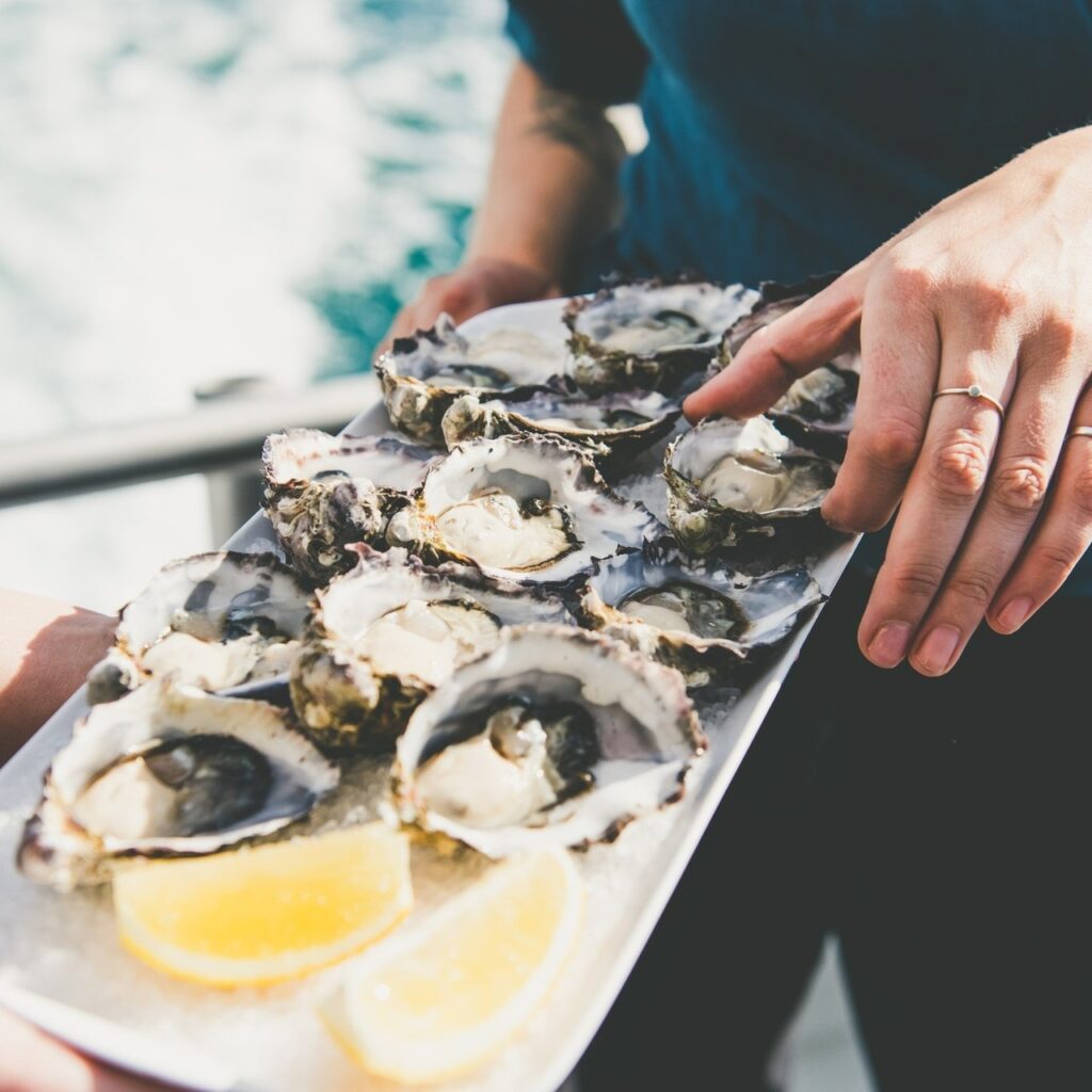 asmania Wild Seafood Adventure oysters