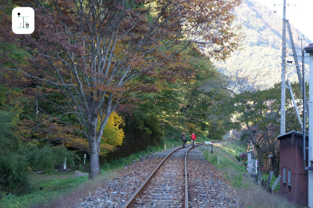 while travelling in autumn, the beautiful maples is awesome.