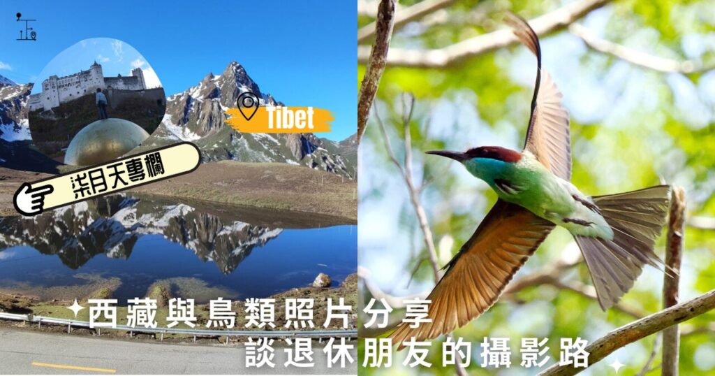 Tibet and Bird