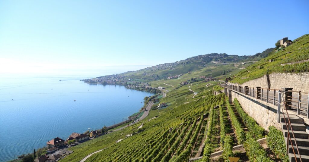 Swiss wine Lavaux 瑞士葡萄酒區拉沃