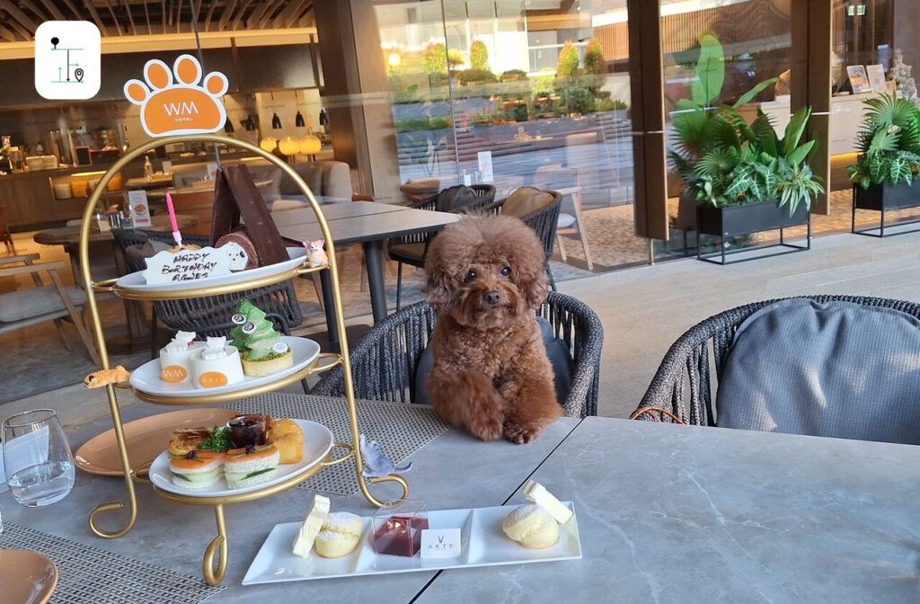 Tea set with doggie in WM Hotel