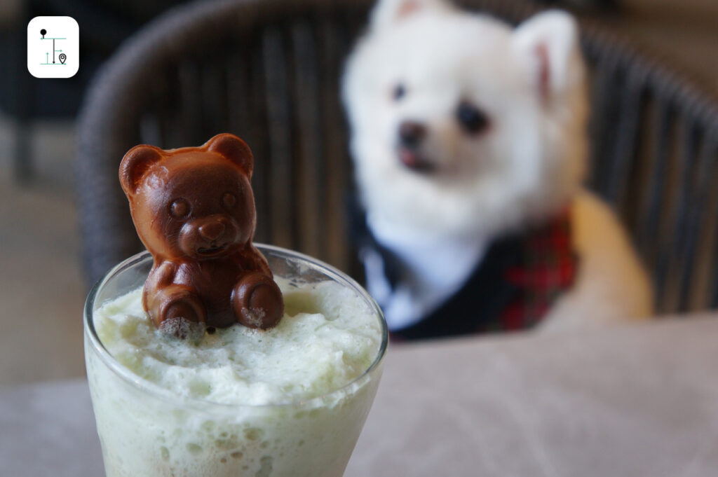 special drink for PET IT ON tea set with dog backdrop.