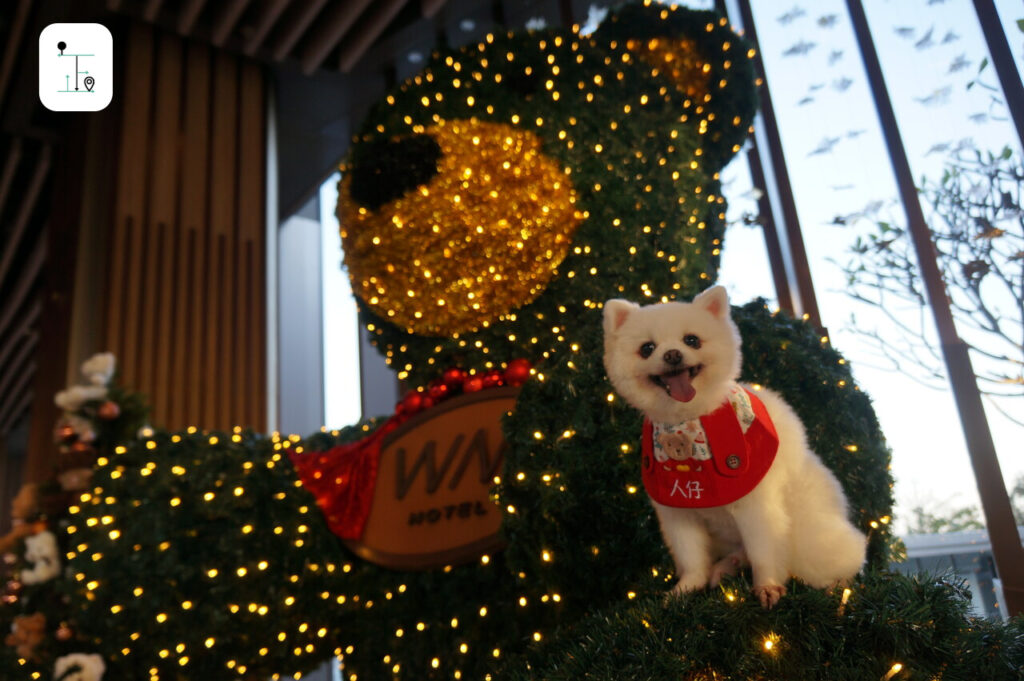 dog takes a selfie on a Xmas bear.