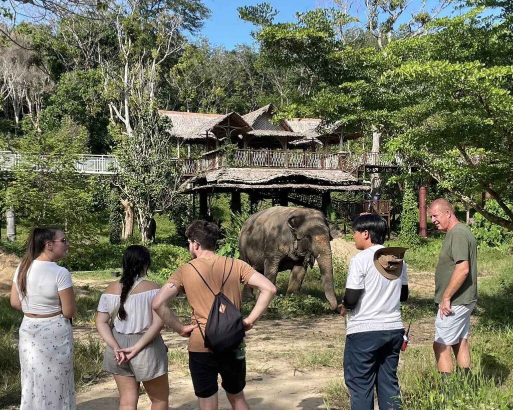 a wonderful interaction between people and an elephant in a natural setting. The elephant stands in the center, while a group of five people gather around, observing it closely. The surroundings include lush greenery and a large wooden structure in the background, resembling a treehouse or an elevated viewing platform. It looks like a wildlife conservation area or nature park, offering visitors the chance to observe animals in their habitat.