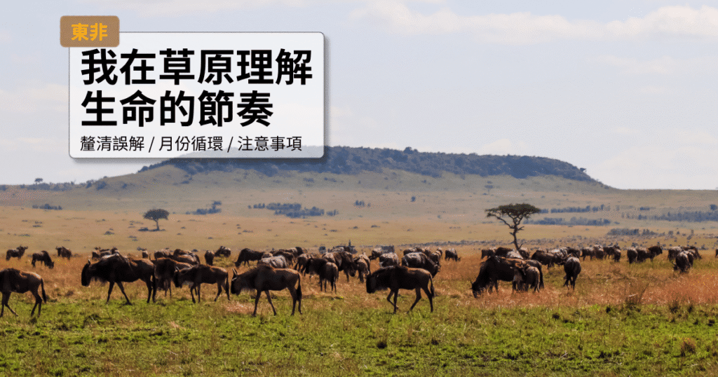 非洲草原上的野生動物和自然景觀，適合旅遊和生態探索.