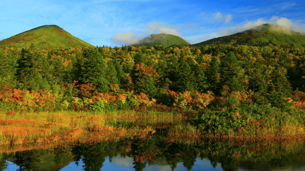 日本八甲田山秋日賞紅景色，山林與湖泊相映成趣。